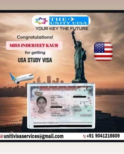 Visa Consultation